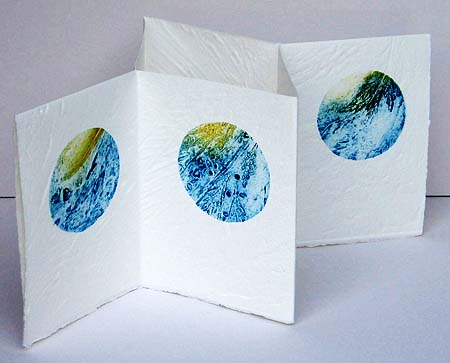 Tidal Pools
