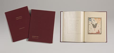 Apperception, a symbolic narrative