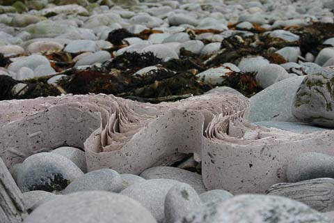 kelp paper at burragaig